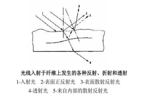 光線入射于纖維上發(fā)生的各種反射、折射和透射